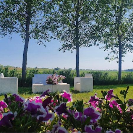 Agriturismo Ca' Pisani بورتو فيرو المظهر الخارجي الصورة