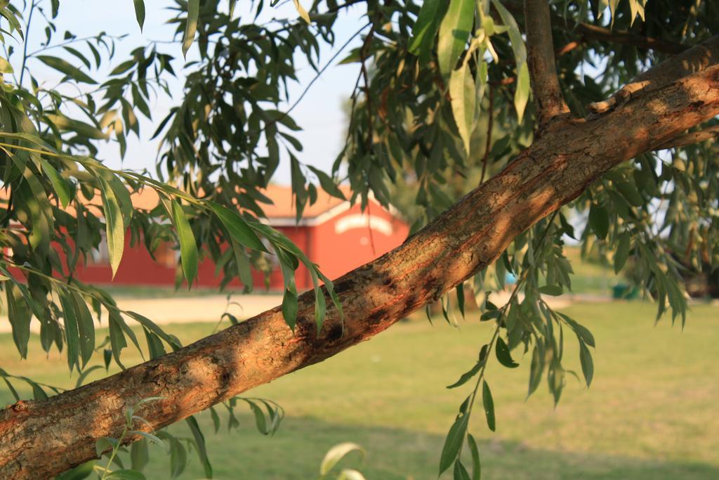 Agriturismo Ca' Pisani بورتو فيرو المظهر الخارجي الصورة